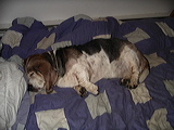 imgp3005