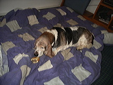 imgp3007