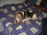 imgp3008