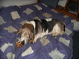 imgp3009