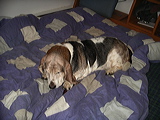 imgp3011