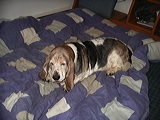 imgp3012