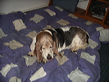 imgp3013