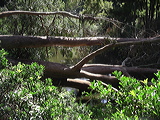 imgp3015