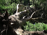 imgp3016