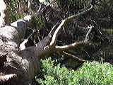 imgp3017