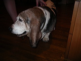 imgp3098