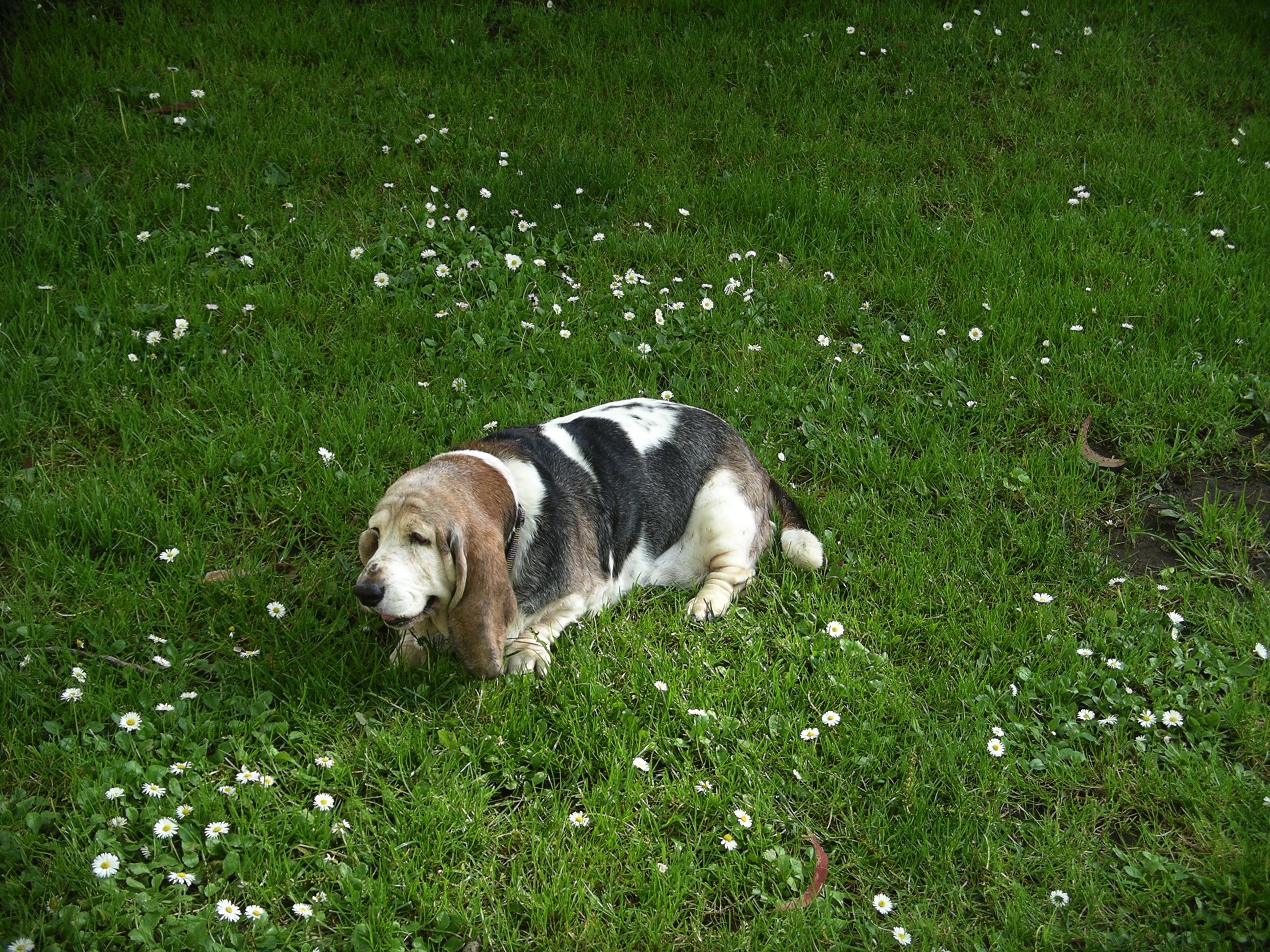 imgp3129.jpg
