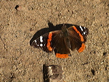 imgp3127