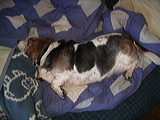 imgp3133