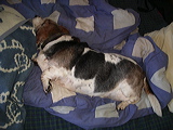 imgp3134