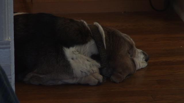 dsc00014.jpg