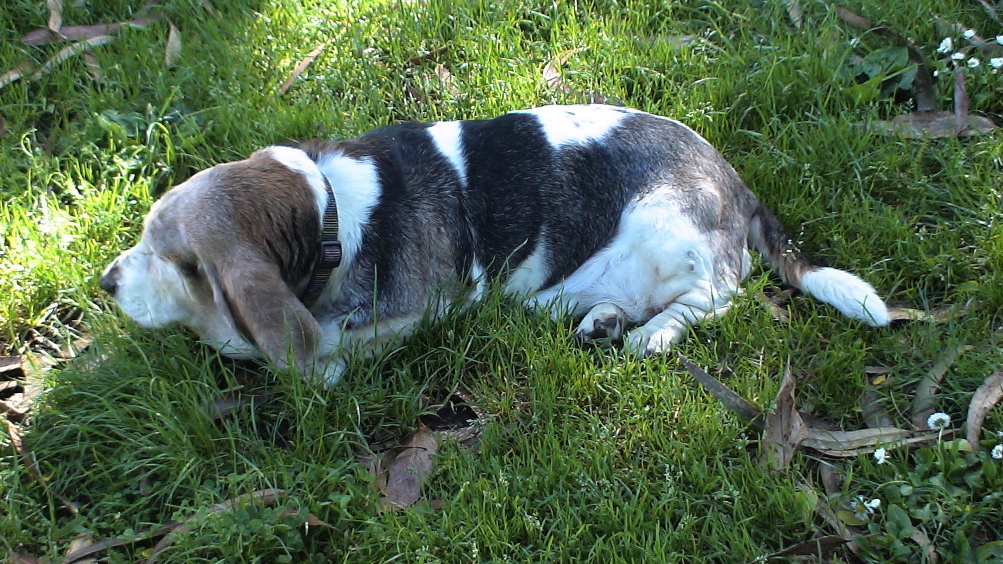 dsc00033.jpg