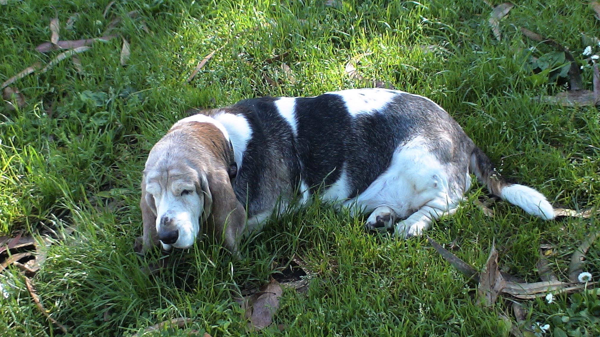 dsc00034.jpg