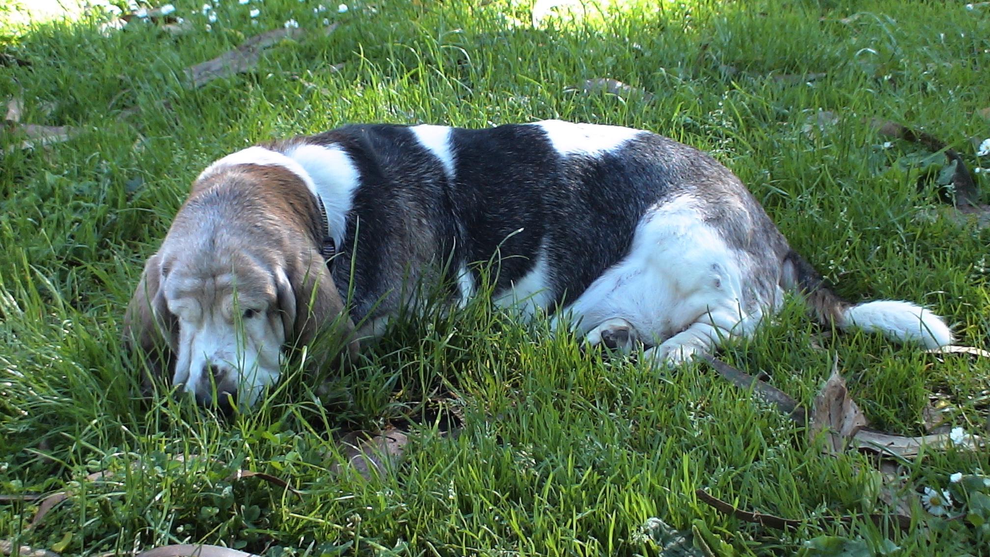 dsc00035.jpg