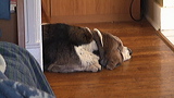 dsc00010