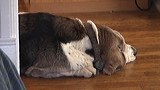 dsc00011