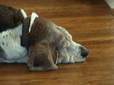 dsc00016