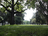 dsc00023