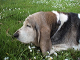dsc00025