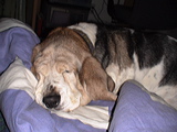 dsc00028
