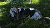 dsc00036