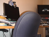 dsc00037
