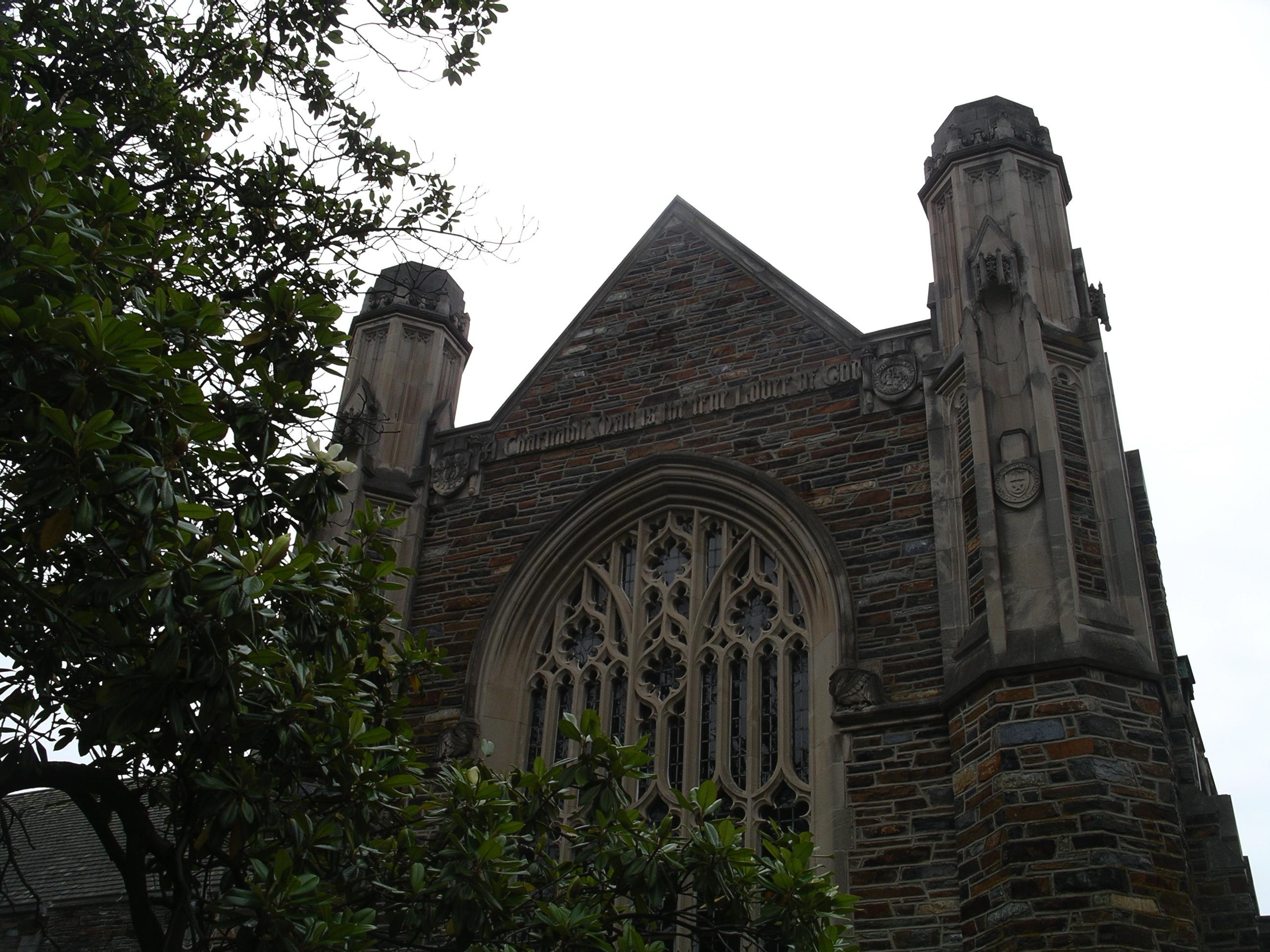 imgp3231.jpg