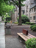 imgp3226