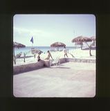 scan0010
