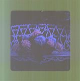 scan0011