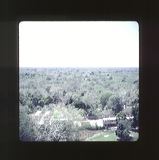 scan0046