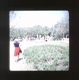 scan0050