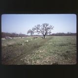 scan0012