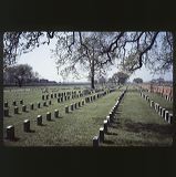 scan0016