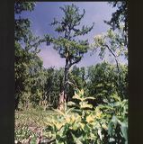 scan0028