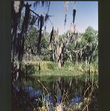 scan0029