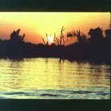 scan0030