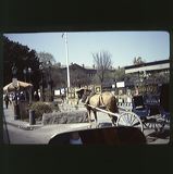 scan0065