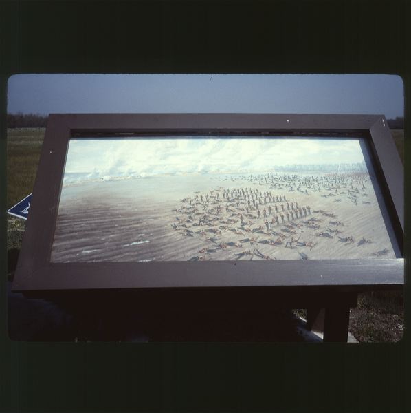 scan0010.jpg