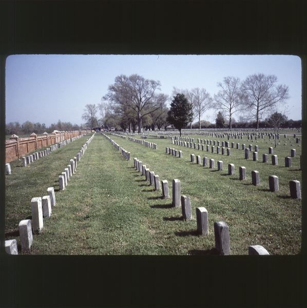 scan0015.jpg