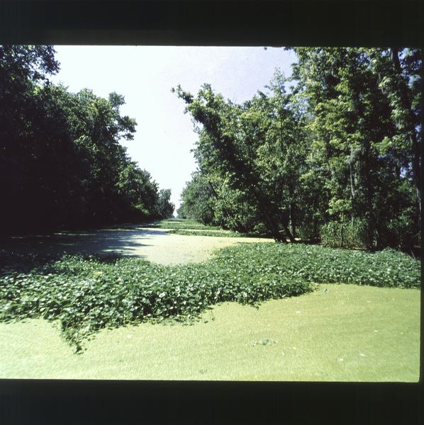 scan0026.jpg