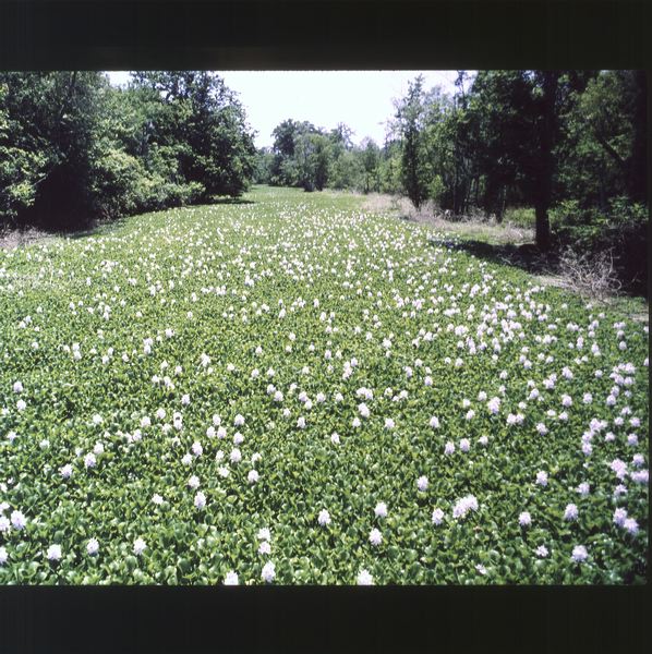 scan0027.jpg