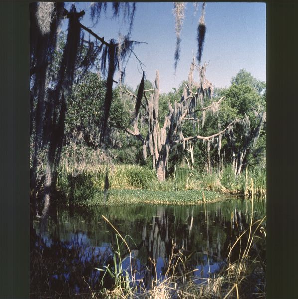 scan0029.jpg
