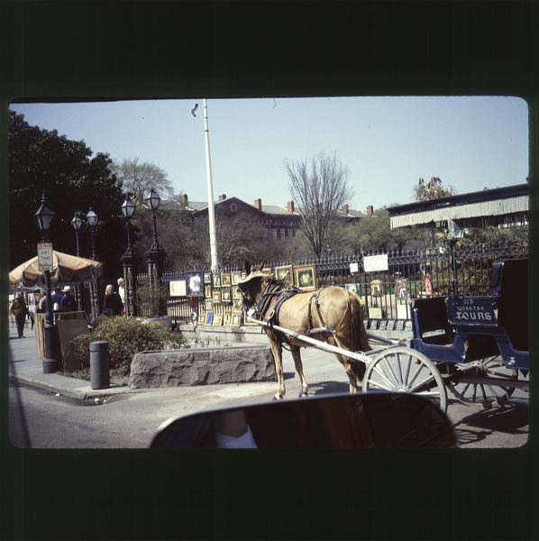 scan0065.jpg