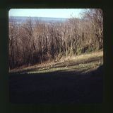 scan-120531-0043
