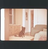 scan0020