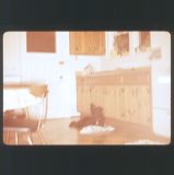scan0023