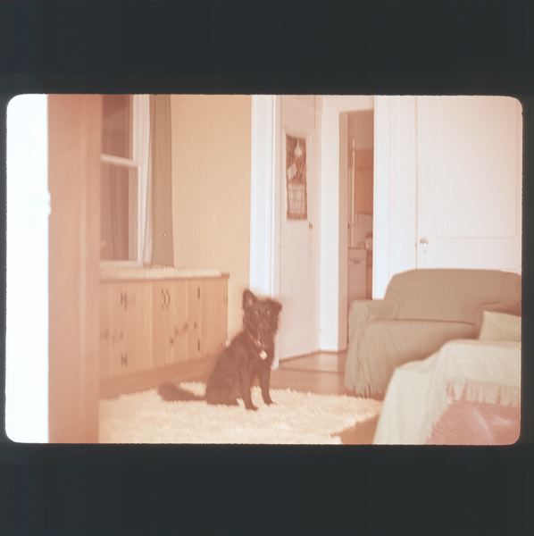 scan0020.jpg