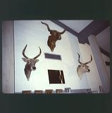 scan0043